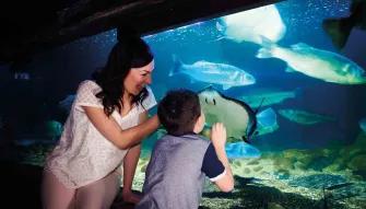Mother and Son at SEA LIFE London Aquarium
