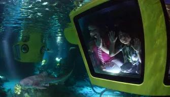 Submarine Adventure at LEGOLAND Dubai