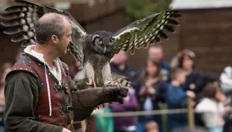 Falconer's Quest at Warwick Castle
