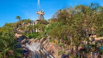 Humunga Kowabunga at Disney's Typhoon Lagoon