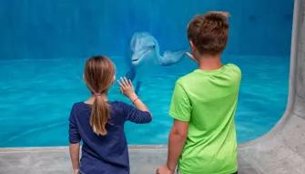 Clearwater Aquarium