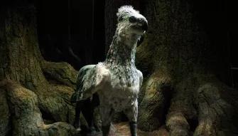Buckbeak at the Warner Bros. Studio Tour London