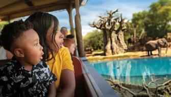 Mother and Son on Kilamanjaro Safari at Disney's Animal Kingdom