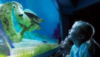 Girl enjoying Turtle Talk with Crush at Epcot