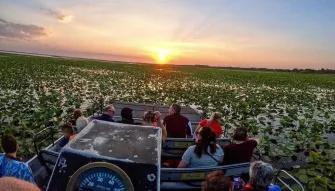 Guests enjoying the natural beauty of the Central Florida Everglades on a Boggy Creek Orlando Airboat Ride