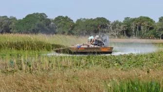 Guests enjoying an airboat ride at Boggy Creek Orlando