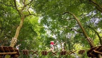 Go Ape Gift Experience Vouchers