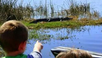 Boy pointing at an alligator on a wild florida airboat ride