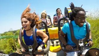 Guests on Cheetah Run at Busch Gardens Tampa Bay