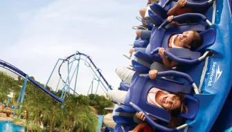 Guests riding Manta rollercoaster at SeaWorld Orlando