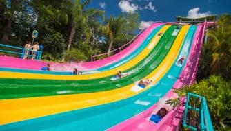 Teens racing down Taumata Racer at Aquatica Orlando