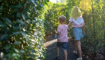 Kids exploring the Horrible Histories Maze at Warwick Castle