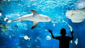 Go City: Philadelphia All-Inclusive Pass Adventure Aquarium
