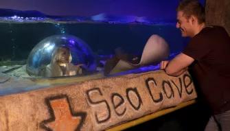 SEA LIFE Blackpool
