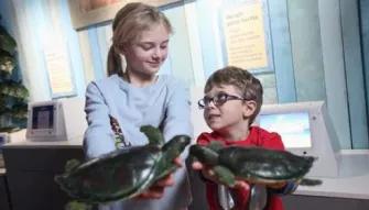 SEA LIFE Blackpool