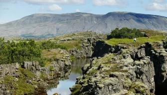 Viking Horse & Golden Circle