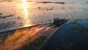 Boggy Creek Sunset Airboat Tour Boggy Creek Sunset Airboat Tour