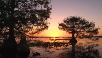 Boggy Creek Sunset Airboat Tour Boggy Creek Sunset Airboat Tour