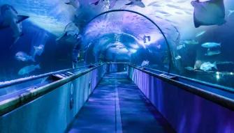 Go City San Francisco