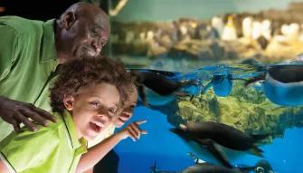 SeaWorld California