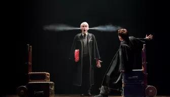 Harry Potter and the Cursed Child Broadway Tickets