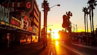 Self-guided Finger Licking Foodie Tour - Downtown