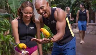 Guest interacting with tropical birds within Explorer's Aviary at Discovery Cove