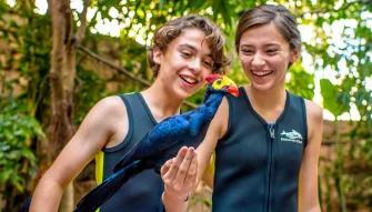 Guest interacting with tropical birds within Explorer's Aviary at Discovery Cove