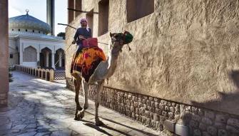 Discover the sights of Dubai on a Dubai City Tour accompanied by a knowledgeable local guide