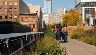 Highlights of the High Line