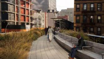 Highlights of the High Line