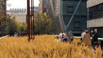 Highlights of the High Line