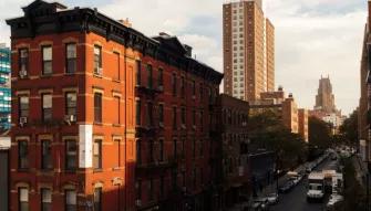 Highlights of the High Line