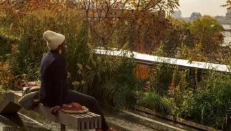 Highlights of the High Line