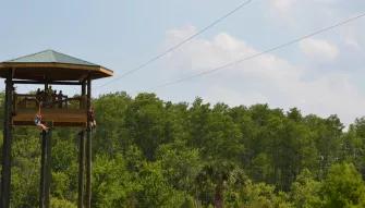 Screamin Gator Zip Line at Gatorland Orlando