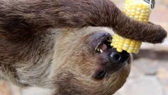 Real Wild Florida Adventure Real Wild Florida Adventure