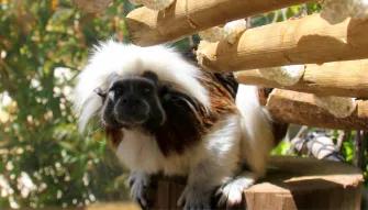 Real Wild Florida Adventure