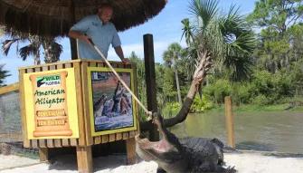 Real Wild Florida Adventure Real Wild Florida Adventure