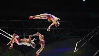 Mystère Cirque du Soleil