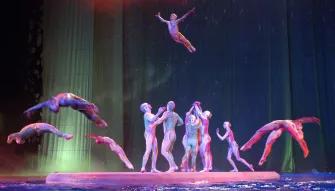 'O' Cirque du Soleil