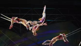 Mystère Cirque du Soleil