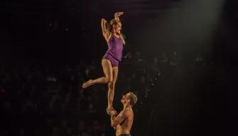 LOVE Cirque du Soleil