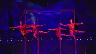 Mystère Cirque du Soleil