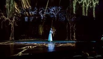 LOVE Cirque du Soleil