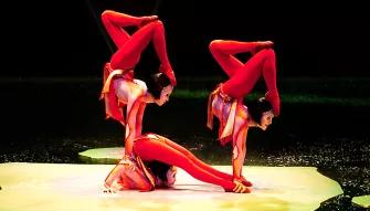 'O' Cirque du Soleil
