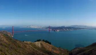 Muir Woods & Sausalito Tour