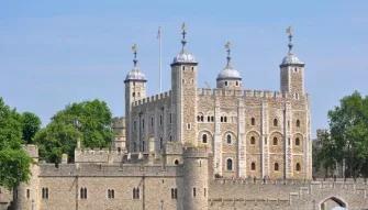 Superbloom at Tower of London and entry to Tower of London