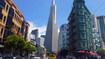 Bus & Boat Adventure