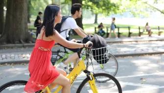Central Park Bike Rental