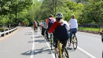 Central Park Bike Tour